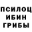 Конопля OG Kush Shasha Fernando