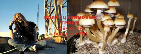 трава Бронницы