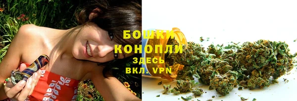 молекула духа Богородск