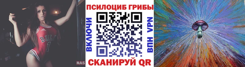 Галлюциногенные грибы Cubensis  нарко площадка формула  Киселёвск 