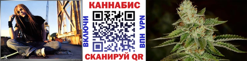 Каннабис сатива  Киселёвск 